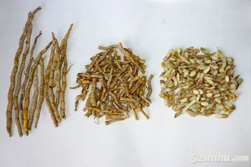 梦见石斛加工