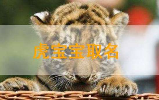 姓庄属虎的男孩名字