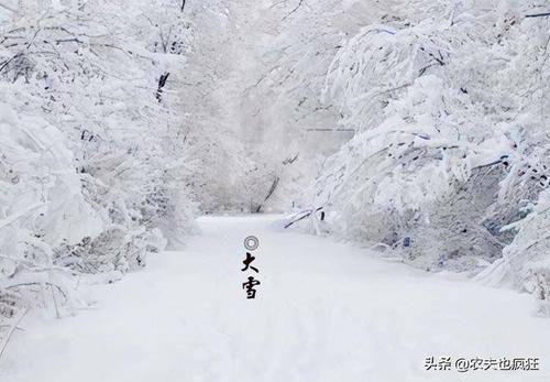 大雪这个名字的寓意吉利吗