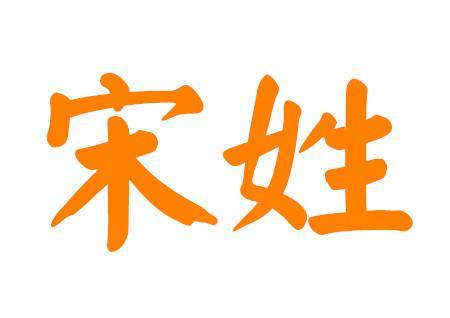 姓宋的两个字名字霸气