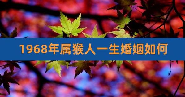 1968年属猴男婚外情