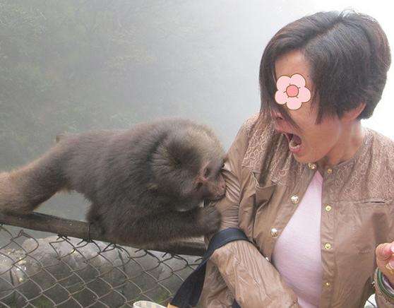 梦见女人救猴子