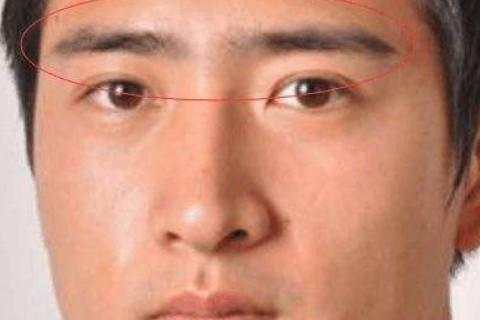 两个眉毛短的男人面相