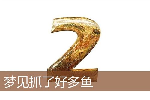 男人梦到抓到好多鱼代表着什么
