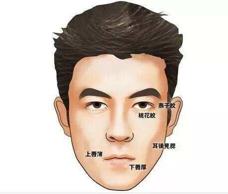 男人面相 创业成功的男人面相