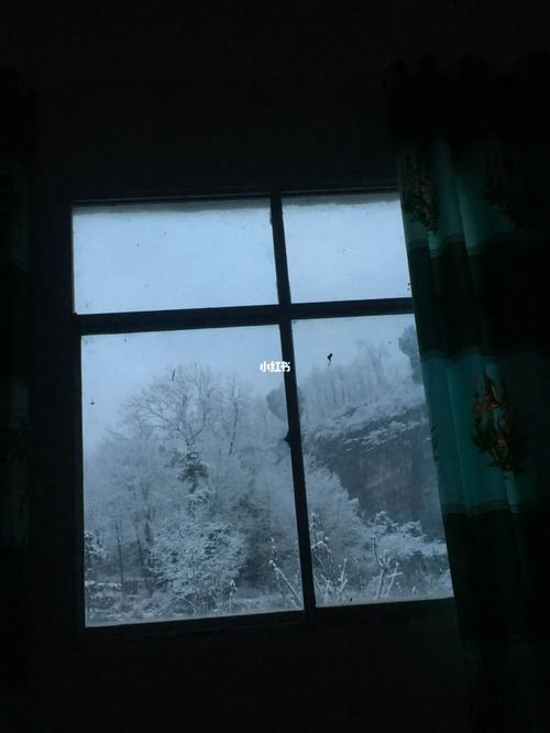 梦见窗外飘雪什么意思