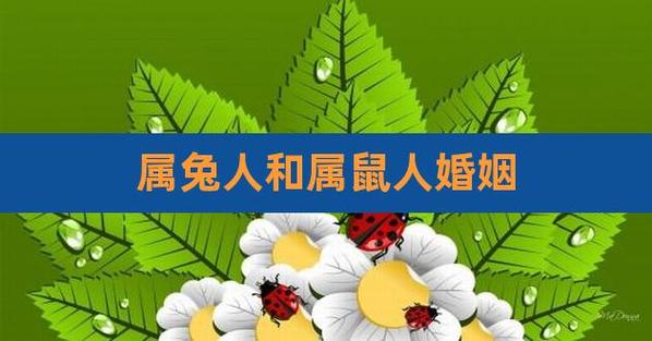 2020鼠年3月生肖属兔和生肖属兔可以结婚吗,婚姻会不会幸福