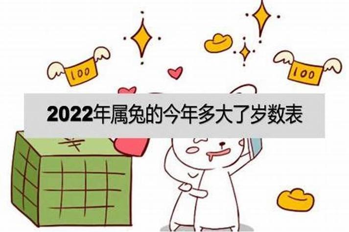 1987年的人哪年财旺