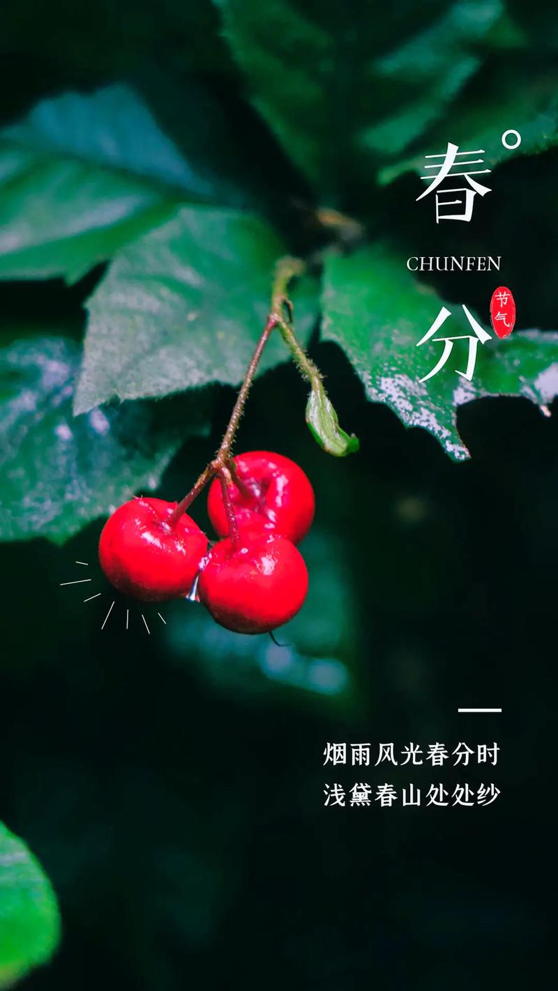 立春和春分的区别