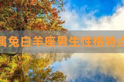 2011年属兔白羊座男生性格