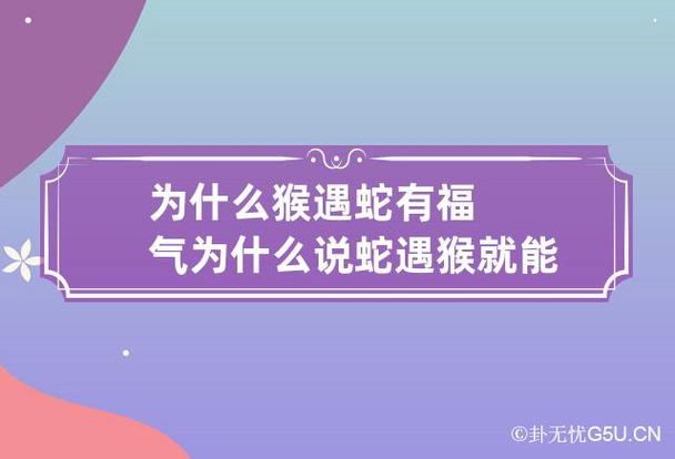 为什么猴遇蛇有福气
