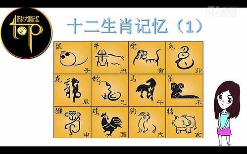 堪比最强大脑 记忆力超好的几大生肖
