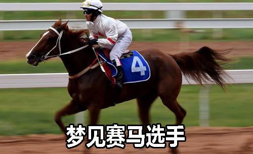 梦见赛马选手是什么意思