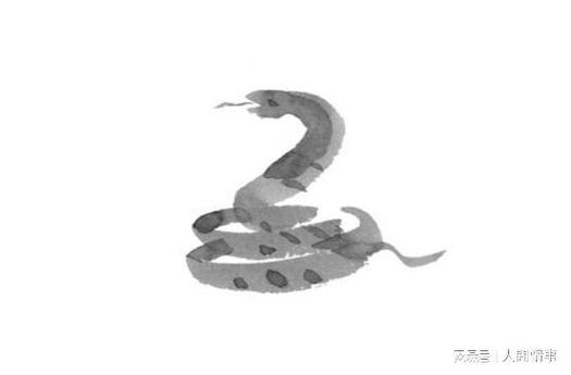 生肖蛇:春节期间运势上上签
