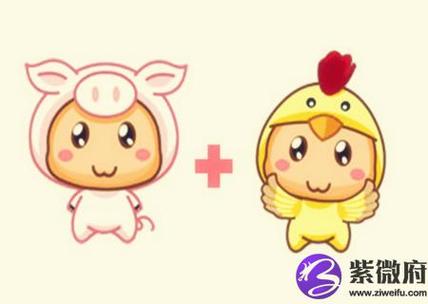 属鸡男和属猪女合不合?属猪女理想的异性是什么样的?