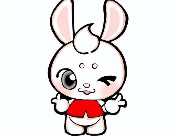 属兔的人高考后会有什么打算?