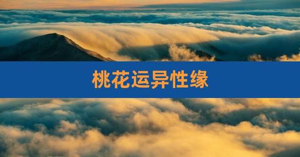 桃花运|优秀异性围绕