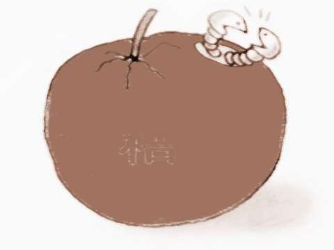 梦见生蛆