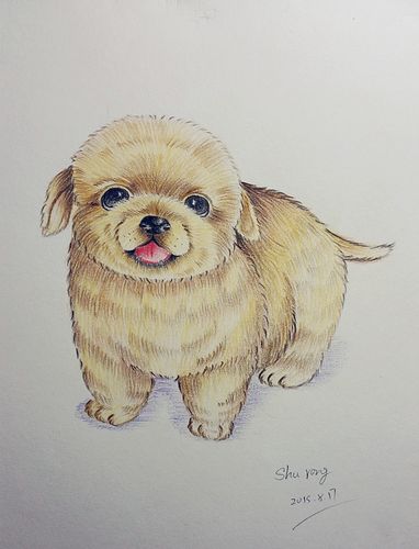 2015.8.21生肖运势