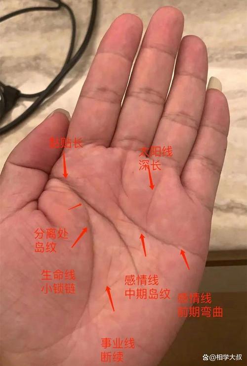 手相看土形手是什么样子的