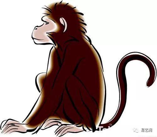 属猴的终极安全感是什么