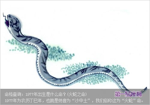 火蛇几月出生命好