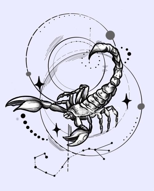 星座天蝎纹身手绘