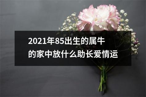 属牛人2021年爱情运如何