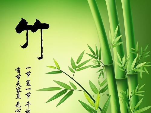梦见竹子详解