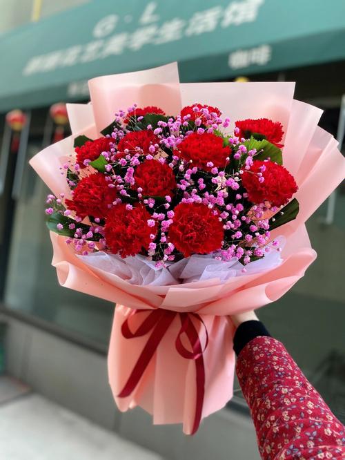 66朵红康乃馨的花语,