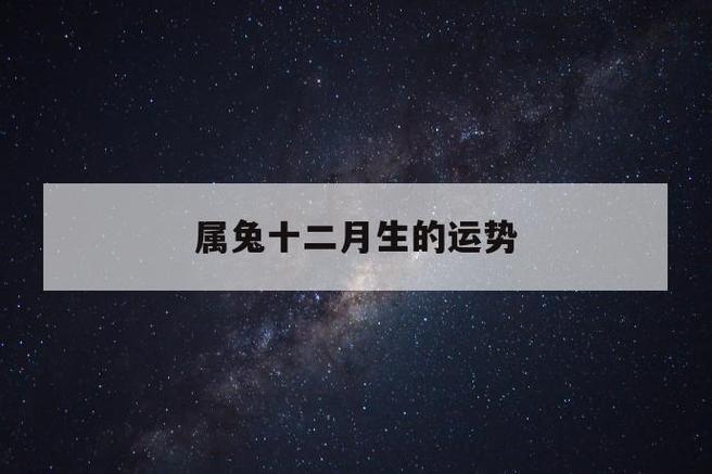 属兔人十二月份运势