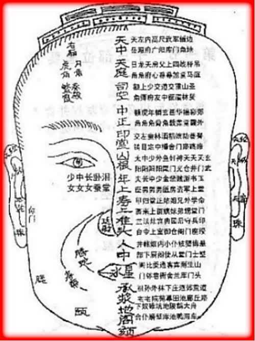 相面口诀怎么看面相