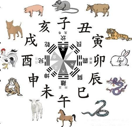 东西南北是什么生肖