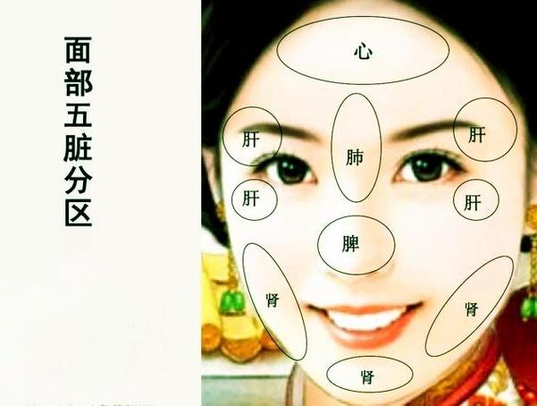 面相学之:面部与脏腑的对应关系