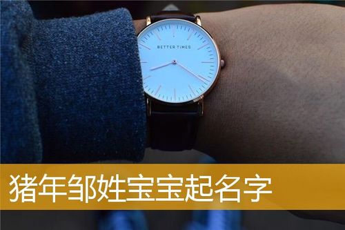 邹姓猪年男宝宝名字