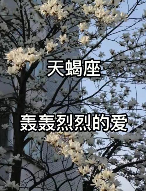 天蝎男的爱情能坚持多久