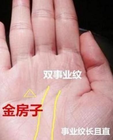 沙中土命的人2019年的财运顺利吗