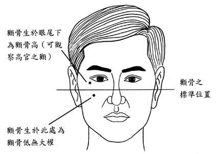 看颧骨知道你是否能掌权