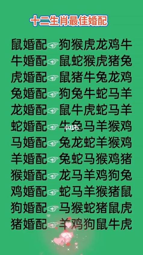 十二生肖2023年应该提防的人,已婚配属兔人要防第三者介入