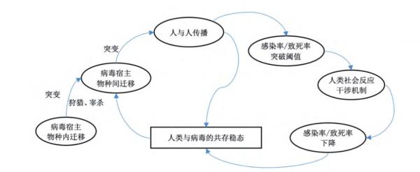 病毒与人的相爱相杀和相辅相成