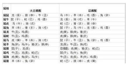75属什么生肖配对,19751982的属相能婚配吗