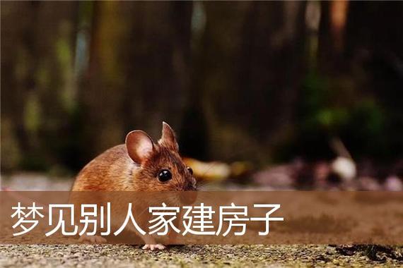 梦见家,周公解梦梦到家是什么意思,做梦梦见家好不好