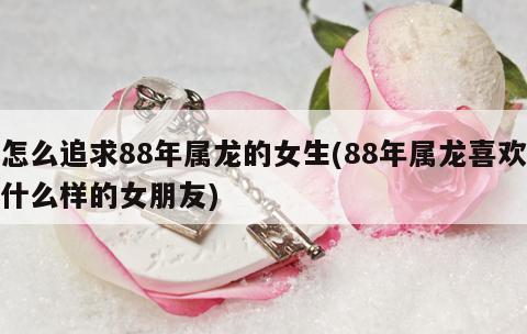 怎么追属龙的女孩子