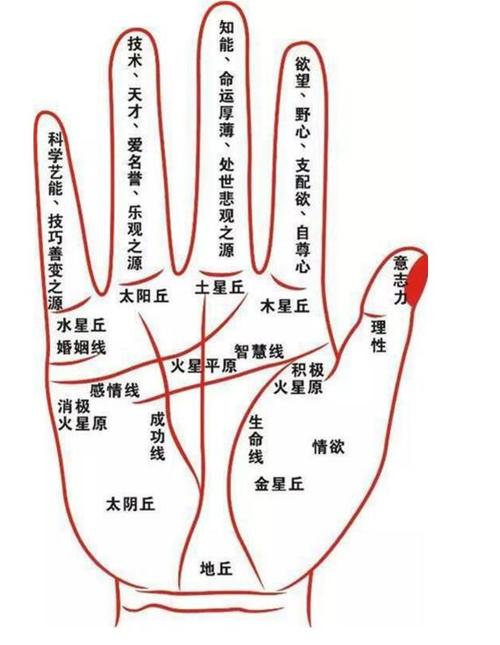 理财纹手相怎么看在哪里