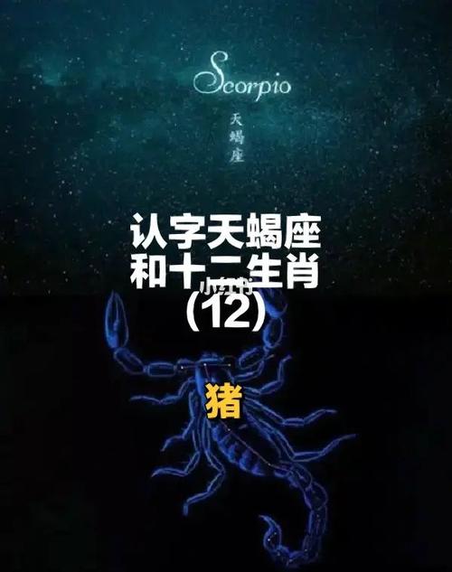 属猪天蝎男生的爱情观如何