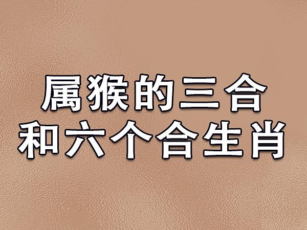 属猴不能找什么生肖