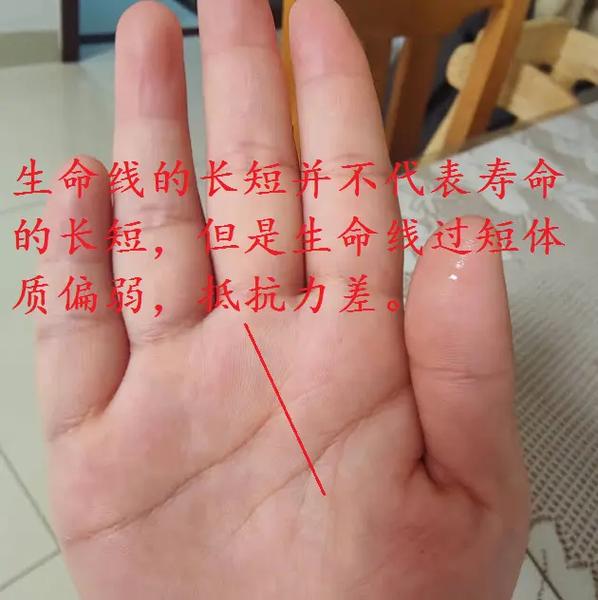 生命线很短很细的人,就一定会命短吗?