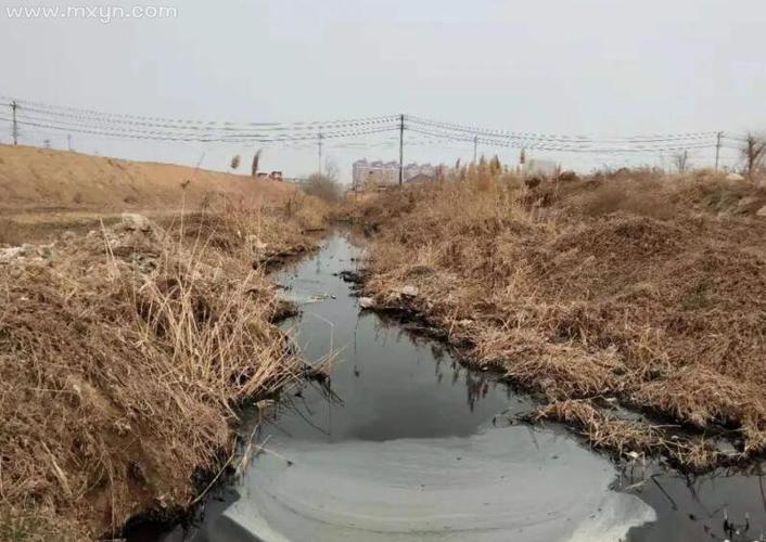 梦见沟渠周公解梦,梦见沟渠是什么意思?