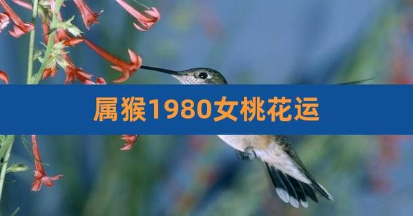1980年出生属猴的2021年桃花运