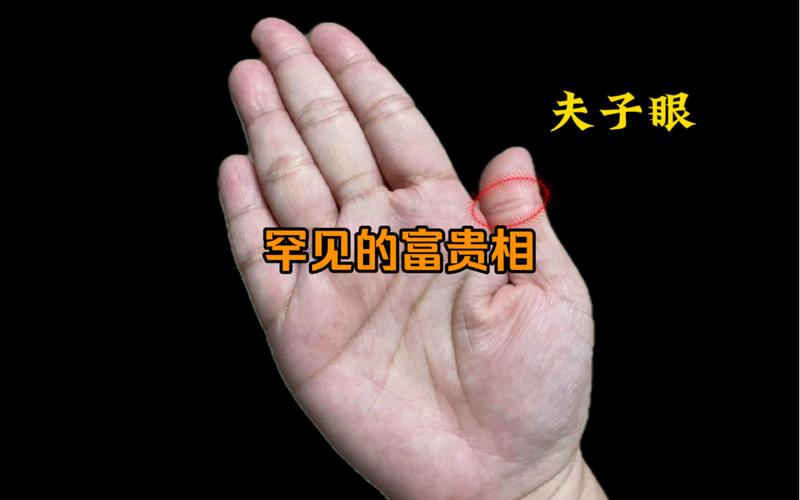 富贵手相图片 四大富贵手纹